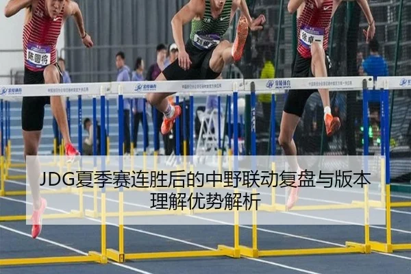 JDG夏季赛连胜后的中野联动复盘与版本理解优势解析